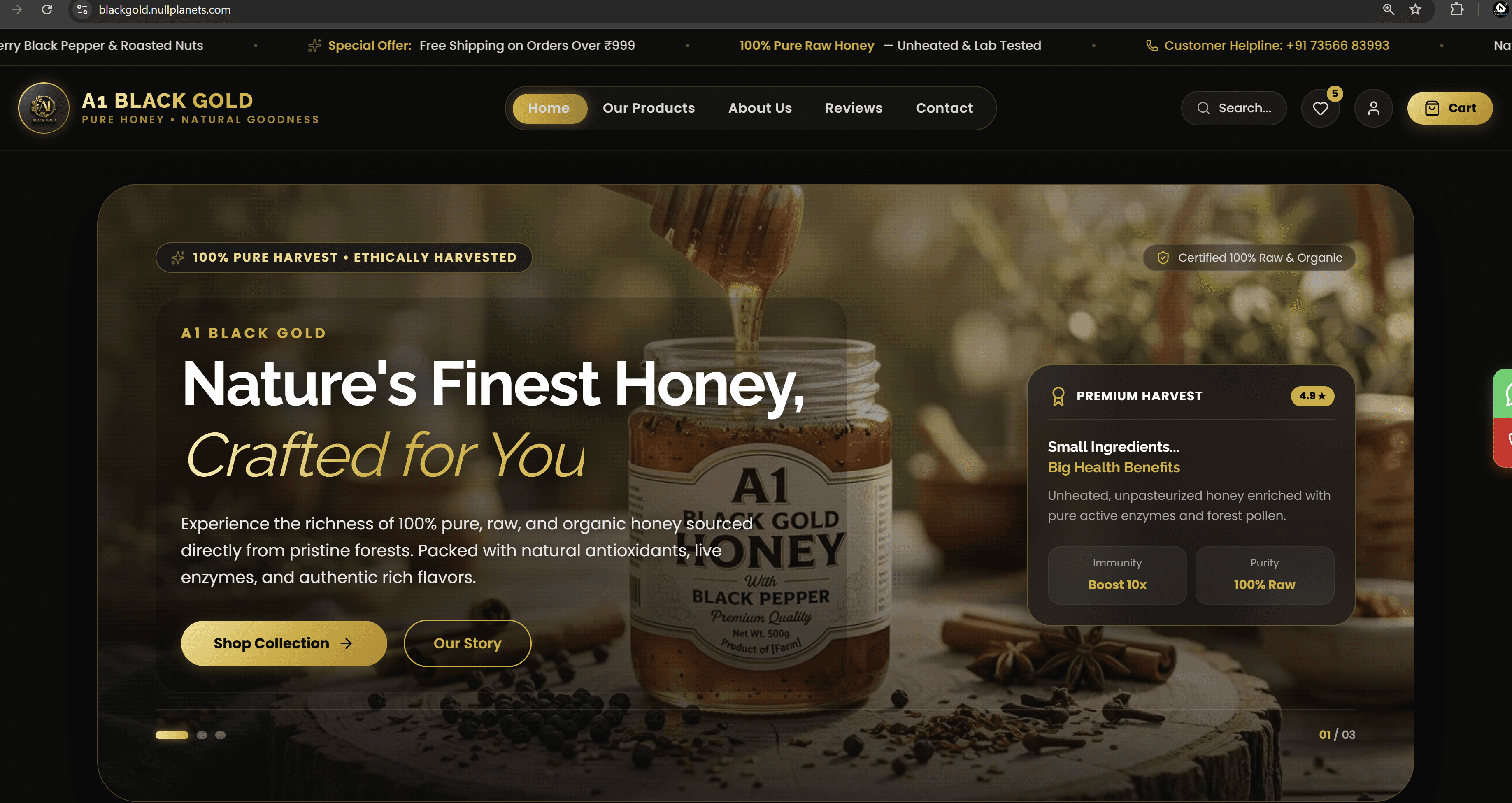 BLACK GOLD - E-Commerce by NullPlanets